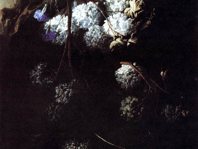 Andrea Belvedere (c. 1652–1732): Between Naturalism and Lusso&nbsp;Floreale.