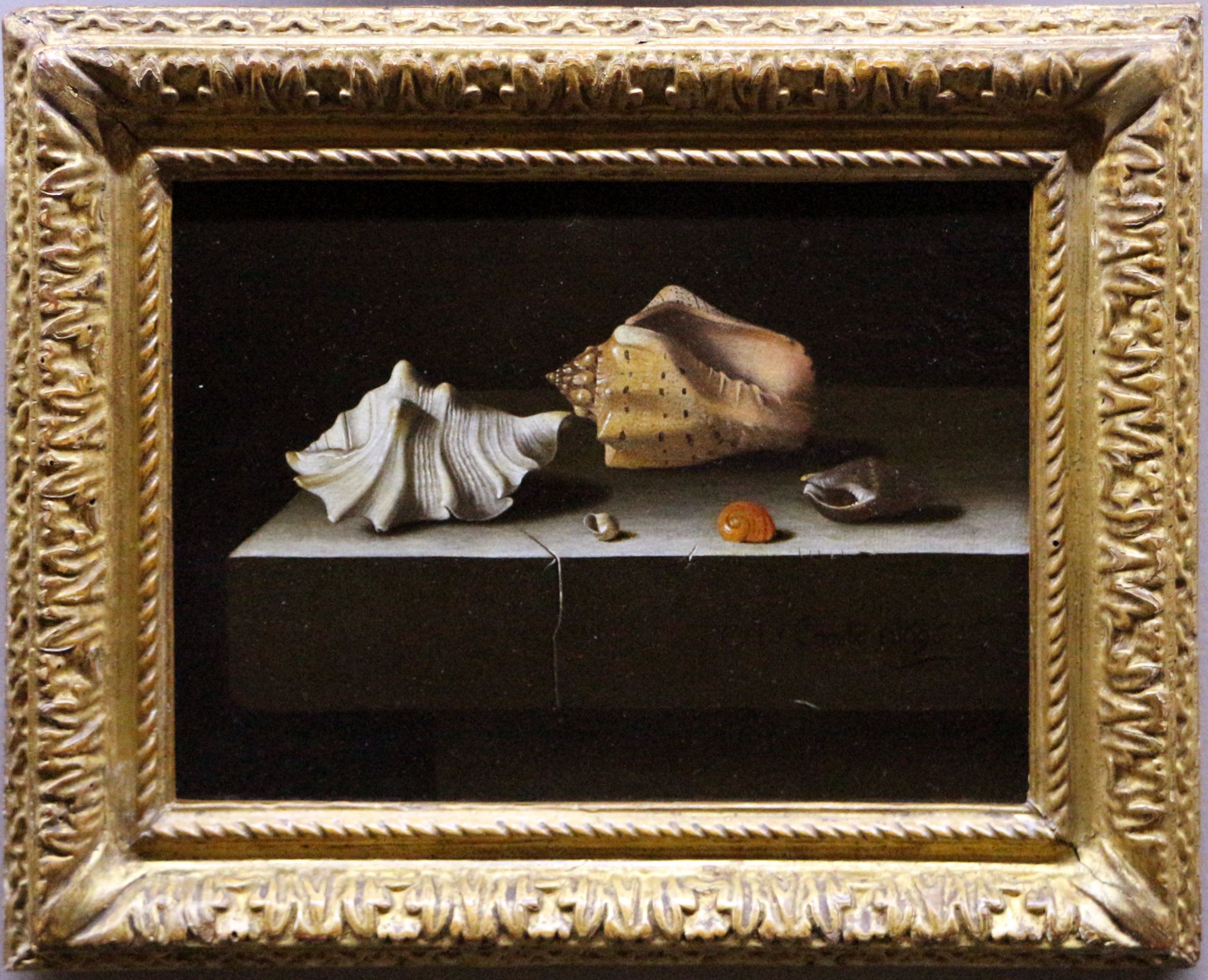 Adriaen Coorte: The Unquiet Still Life – Inner Surfaces